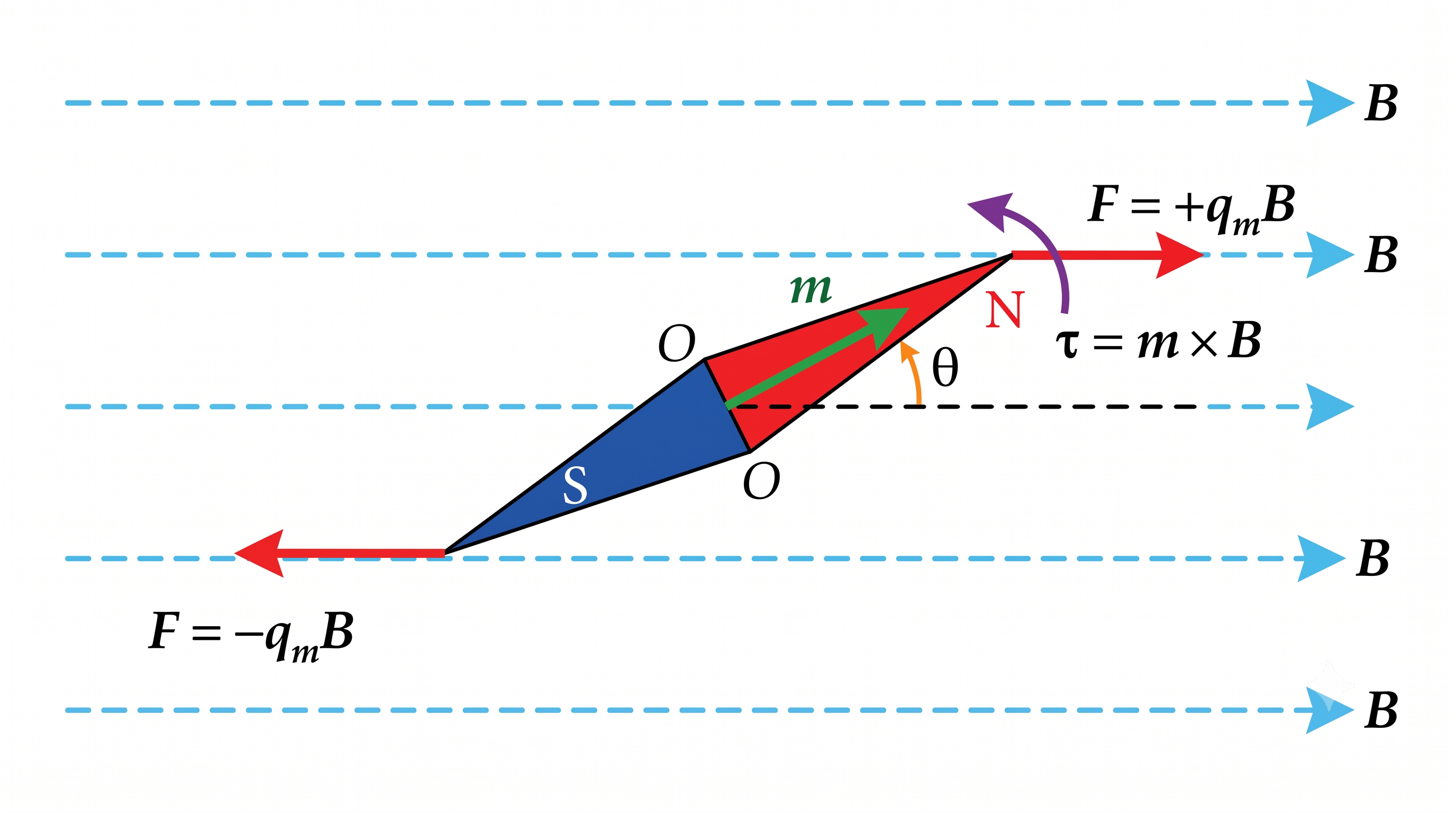 Magnetic Needle in a Uniform Magnetic Field & Restoring Torque